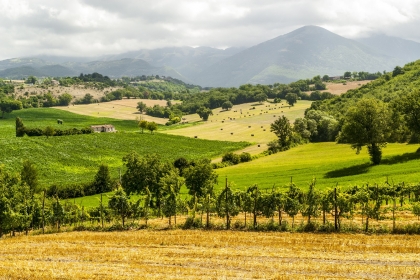 Lazio